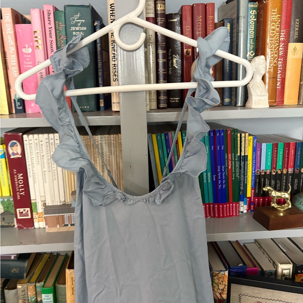 LAKE Pajamas Cotton Poplin Amelia Nightgown Dress Ruffle Cottagecore Sz Med Blue - Picture 3 of 5